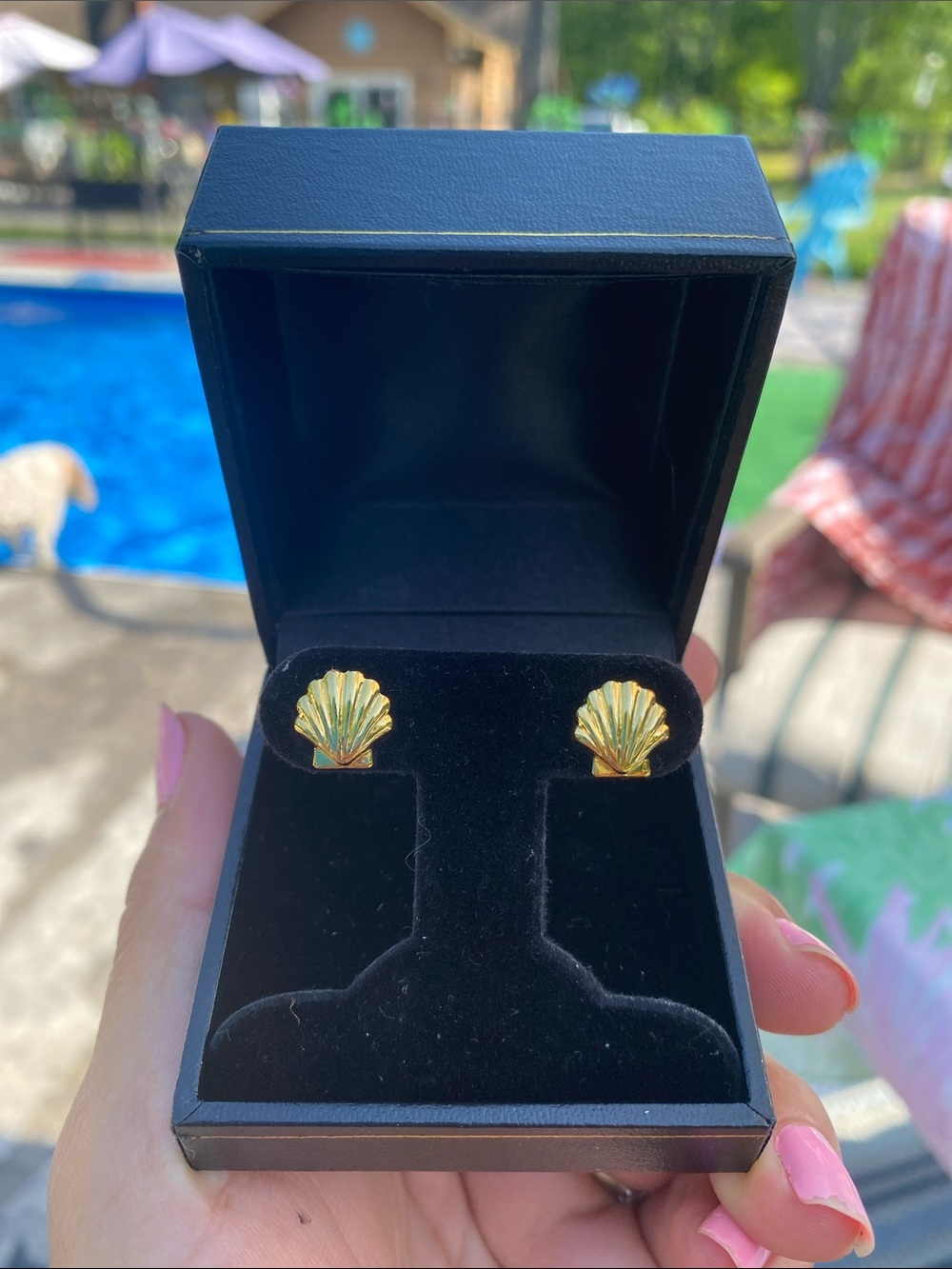 Gold Sea Shell earrings